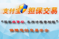 车邦在线支付